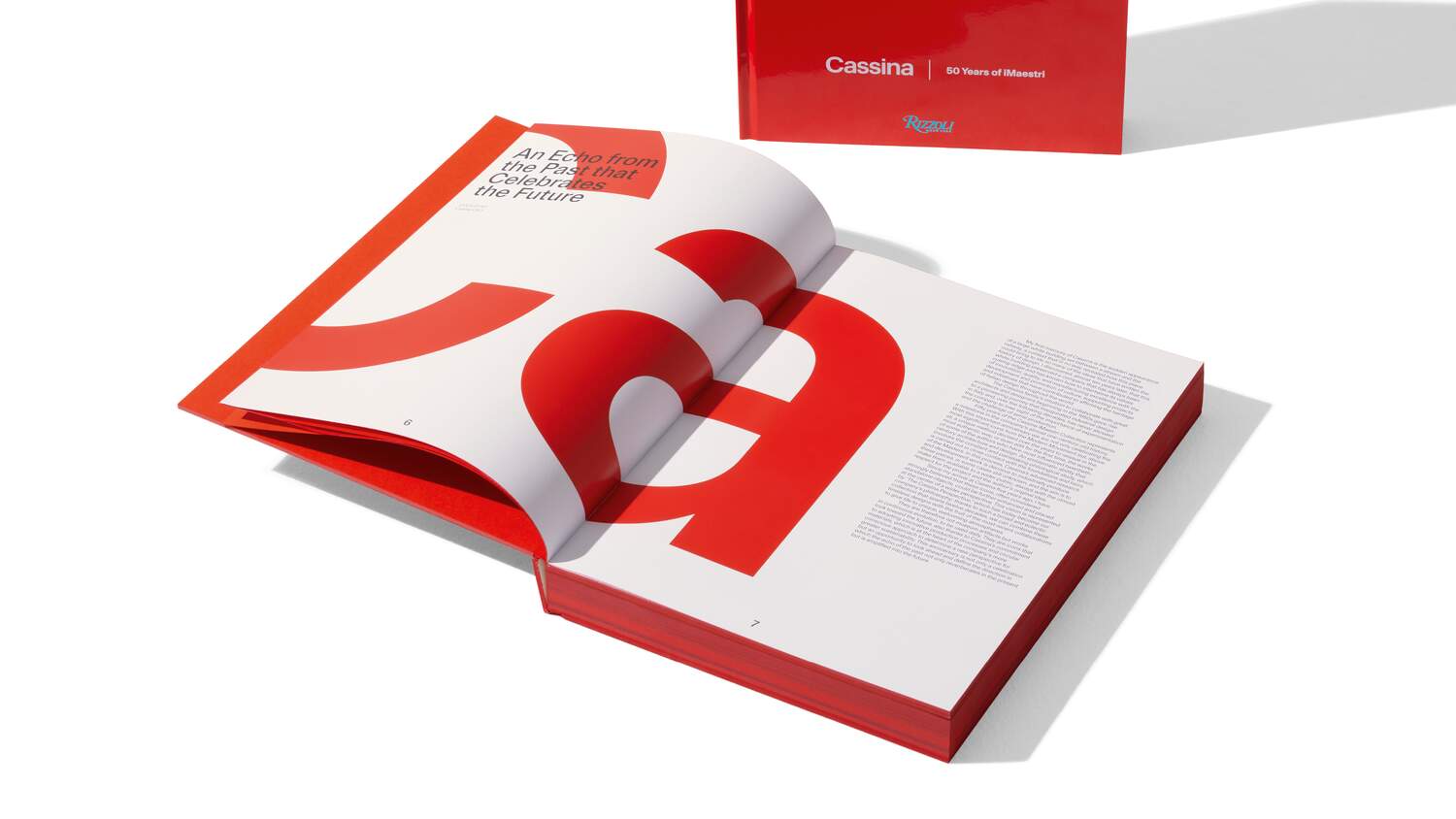 Libro ECHOES, 50 years of iMaestri | Cassina